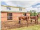 33 Camp Lane, Cowra NSW 2794