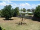 Cowra NSW 2794