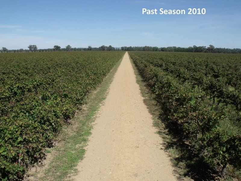 605 Mid Western Highway, Cowra NSW 2794