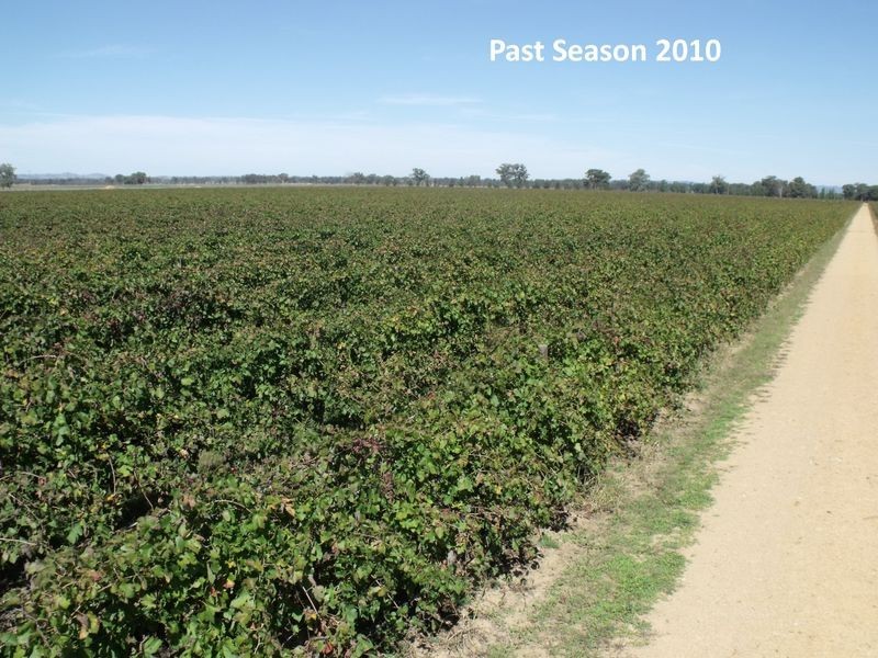 605 Mid Western Highway, Cowra NSW 2794