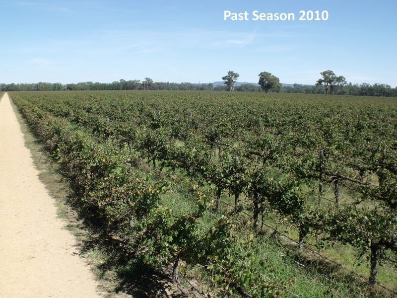 605 Mid Western Highway, Cowra NSW 2794