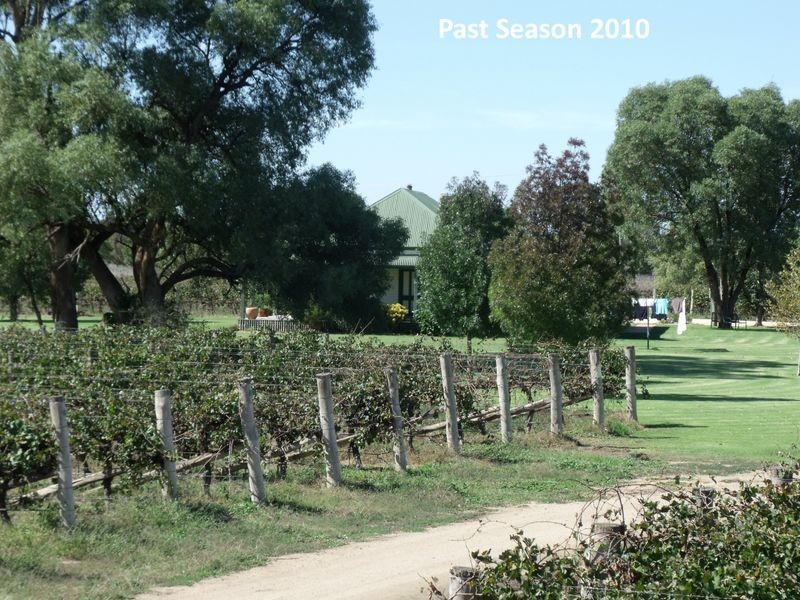 605 Mid Western Highway, Cowra NSW 2794