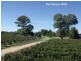 605 Mid Western Highway, Cowra NSW 2794