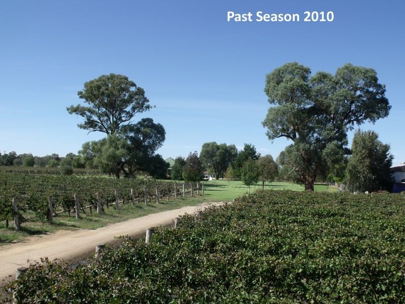 605 Mid Western Highway, Cowra NSW 2794