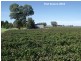 605 Mid Western Highway, Cowra NSW 2794