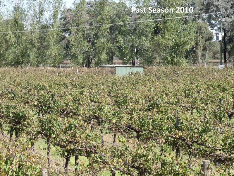 605 Mid Western Highway, Cowra NSW 2794