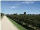 605 Mid Western Highway, Cowra NSW 2794