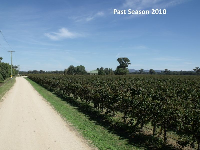605 Mid Western Highway, Cowra NSW 2794