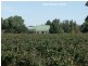 605 Mid Western Highway, Cowra NSW 2794