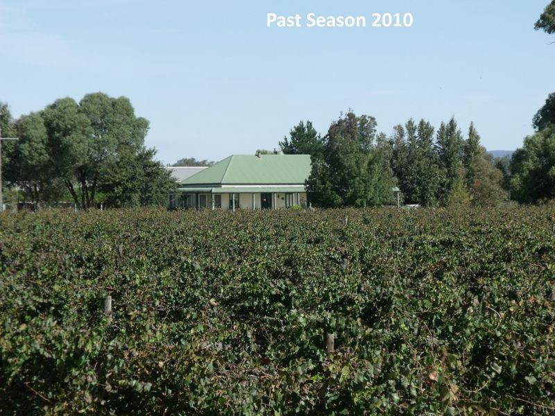 605 Mid Western Highway, Cowra NSW 2794