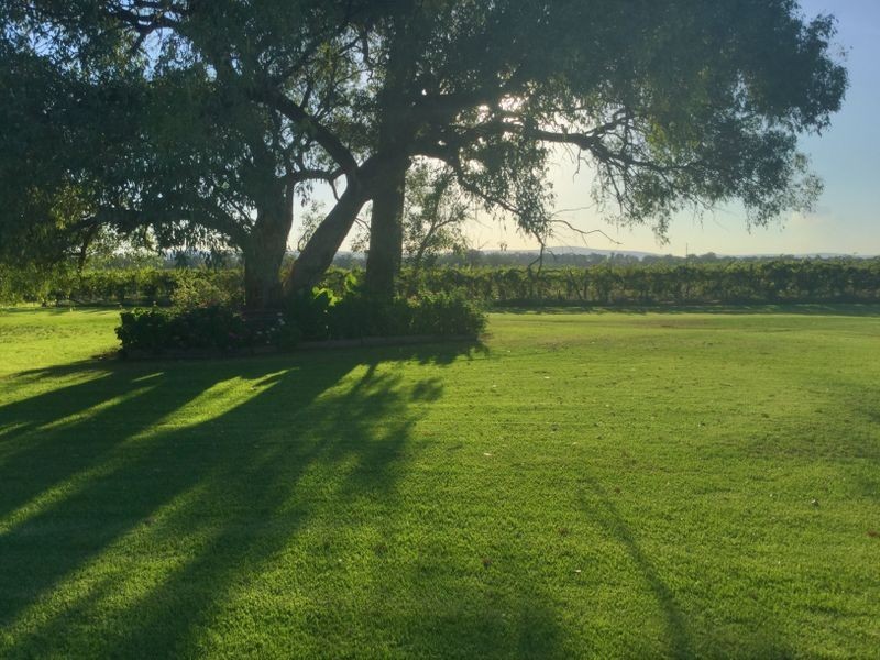605 Mid Western Highway, Cowra NSW 2794