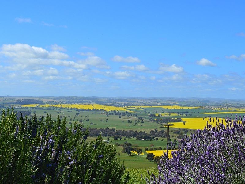 174 Paytens Lane, Cowra NSW 2794