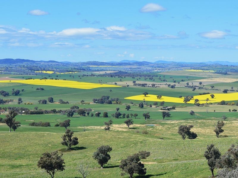 174 Paytens Lane, Cowra NSW 2794