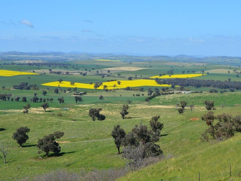 174 Paytens Lane, Cowra NSW 2794