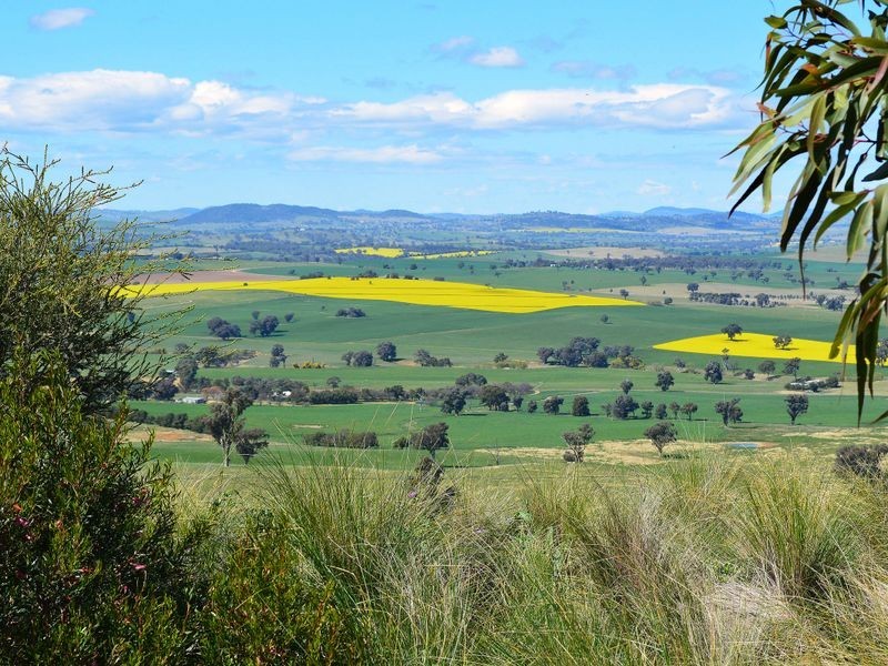 174 Paytens Lane, Cowra NSW 2794