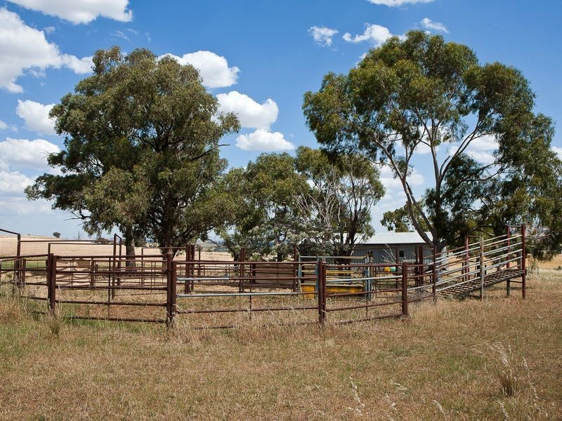 174 Paytens Lane, Cowra NSW 2794