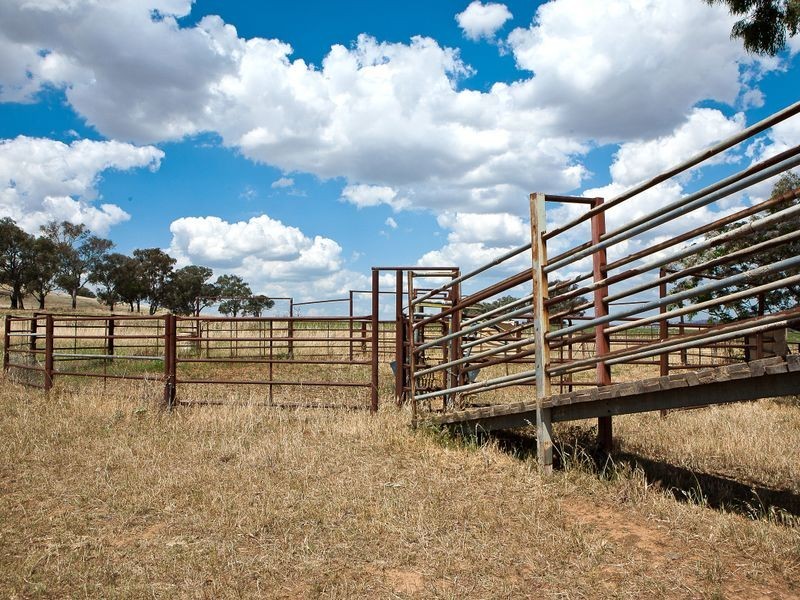 174 Paytens Lane, Cowra NSW 2794