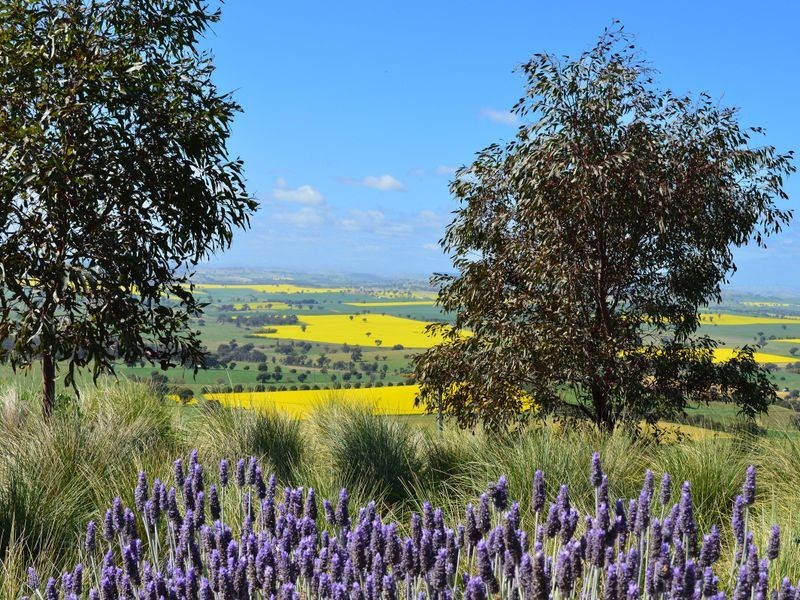 174 Paytens Lane, Cowra NSW 2794