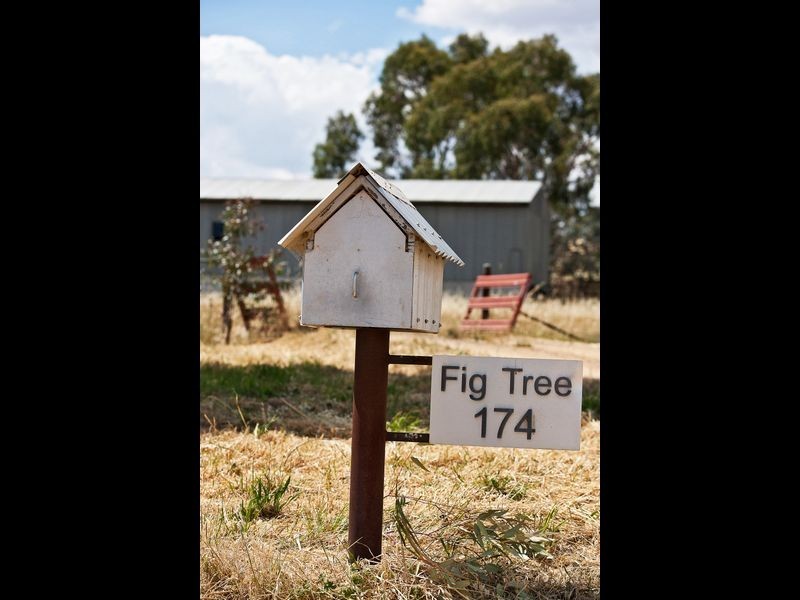 174 Paytens Lane, Cowra NSW 2794