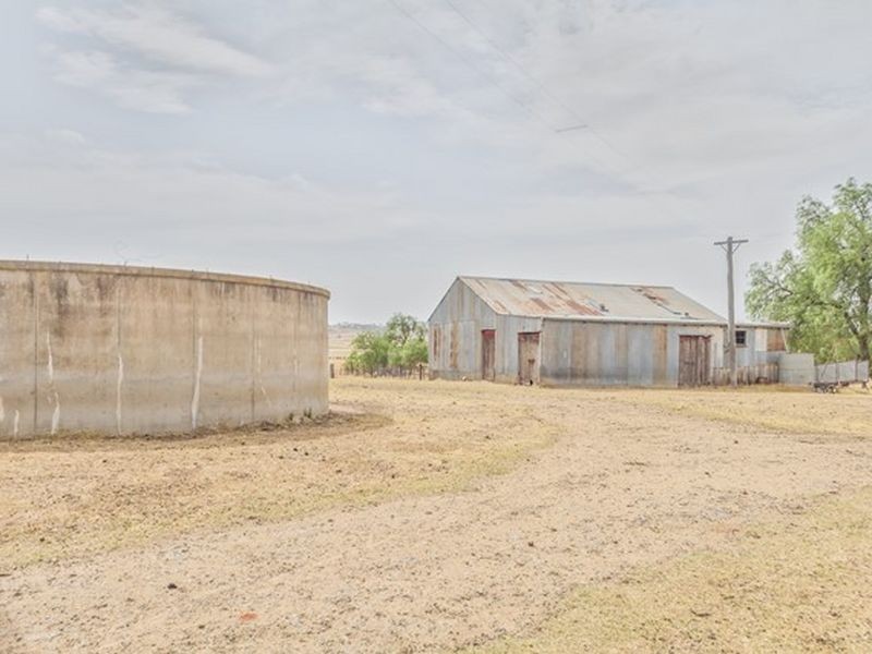 233 A Morongla Road, Cowra NSW 2794
