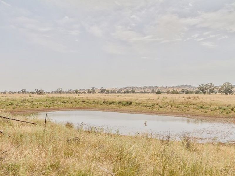 233 A Morongla Road, Cowra NSW 2794