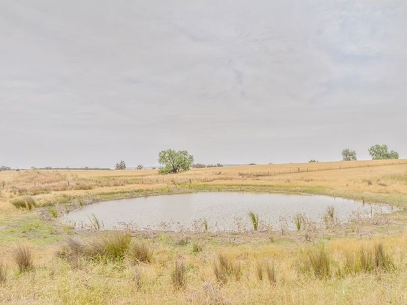 233 A Morongla Road, Cowra NSW 2794