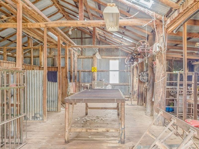 233 A Morongla Road, Cowra NSW 2794