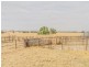 233 A Morongla Road, Cowra NSW 2794