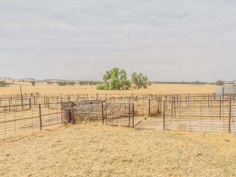 233 A Morongla Road, Cowra NSW 2794
