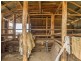 233 A Morongla Road, Cowra NSW 2794