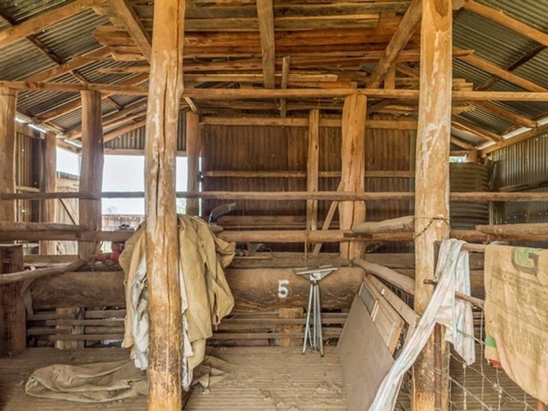 233 A Morongla Road, Cowra NSW 2794