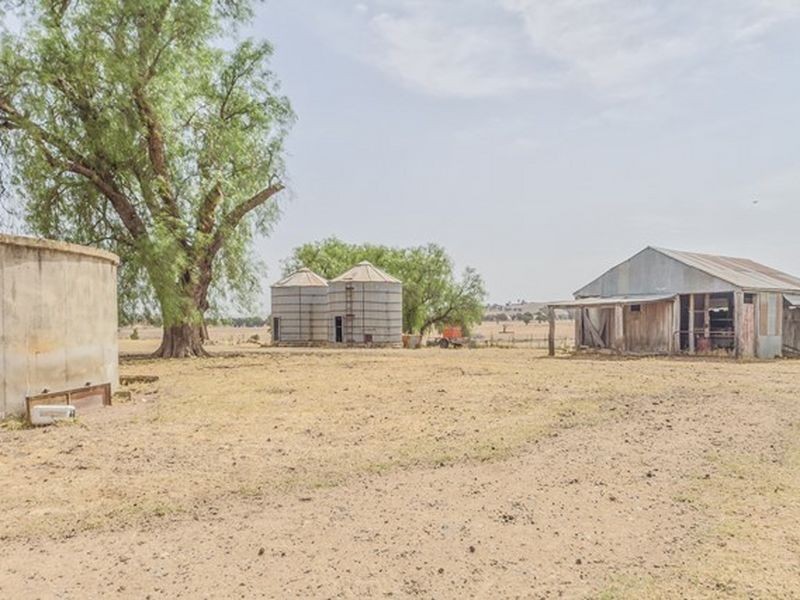 233 A Morongla Road, Cowra NSW 2794