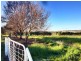 3 – 13 River Park Estate  Killara Road, Cowra NSW 2794