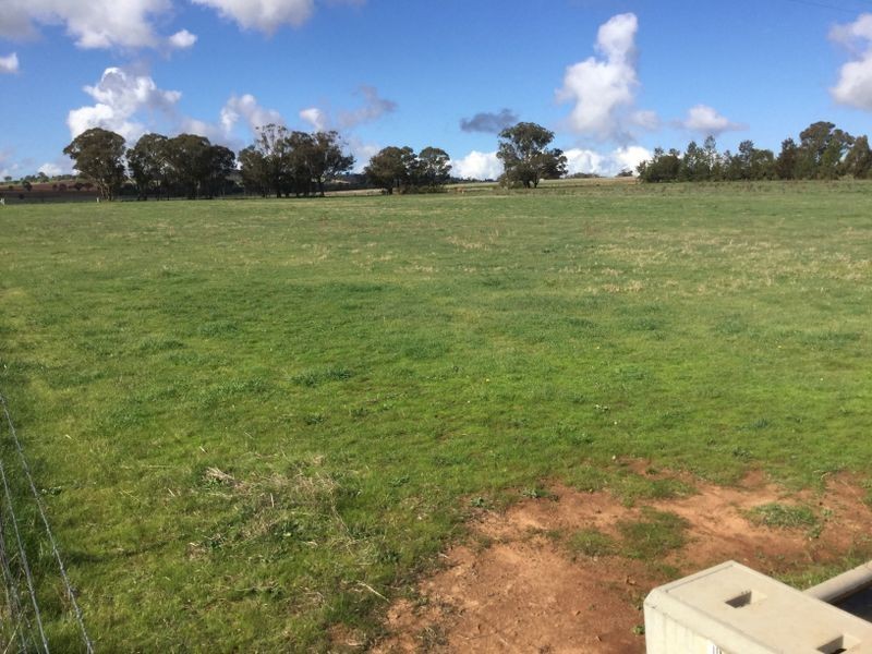 259 Camp Road, Cowra NSW 2794