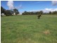 259 Camp Road, Cowra NSW 2794