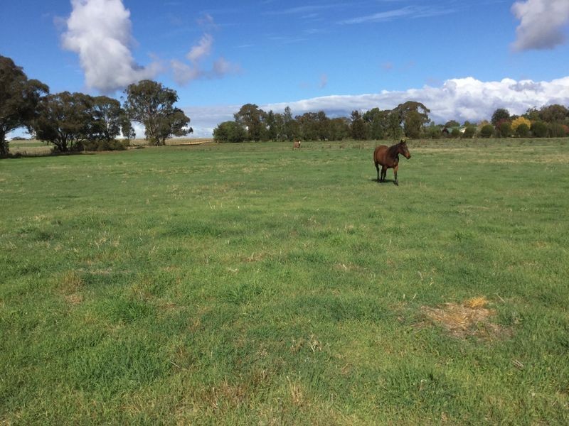 259 Camp Road, Cowra NSW 2794