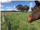 259 Camp Road, Cowra NSW 2794