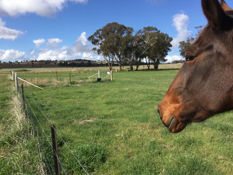 259 Camp Road, Cowra NSW 2794