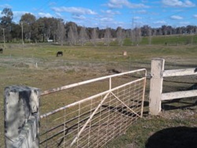 55 Dawson Drive, Cowra NSW 2794