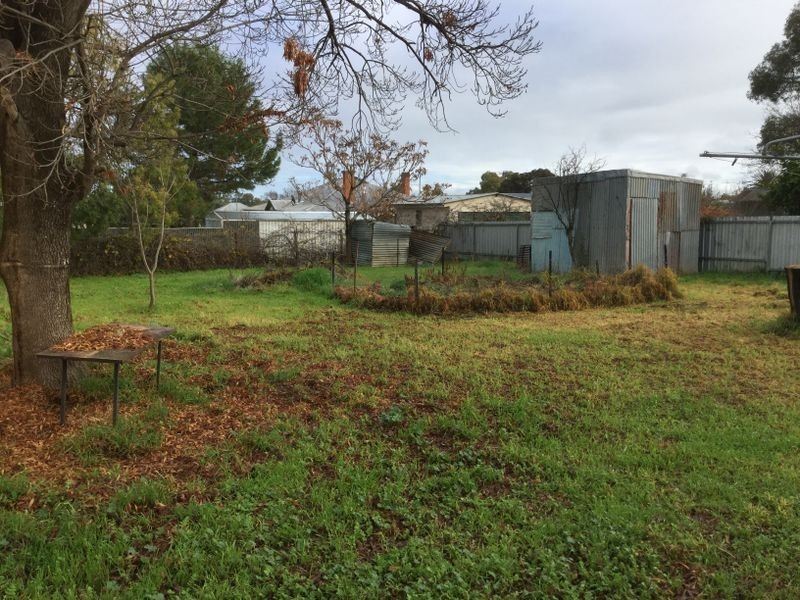 45 Belmore Street, Canowindra NSW 2804