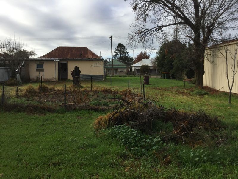 45 Belmore Street, Canowindra NSW 2804