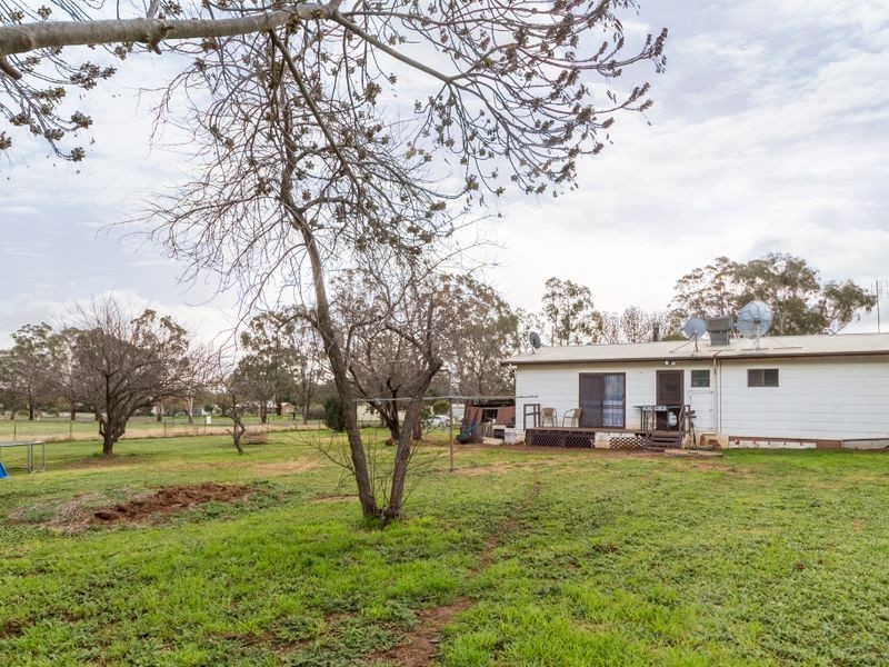 3 Waddell Street (Wattamondara), Cowra NSW 2794