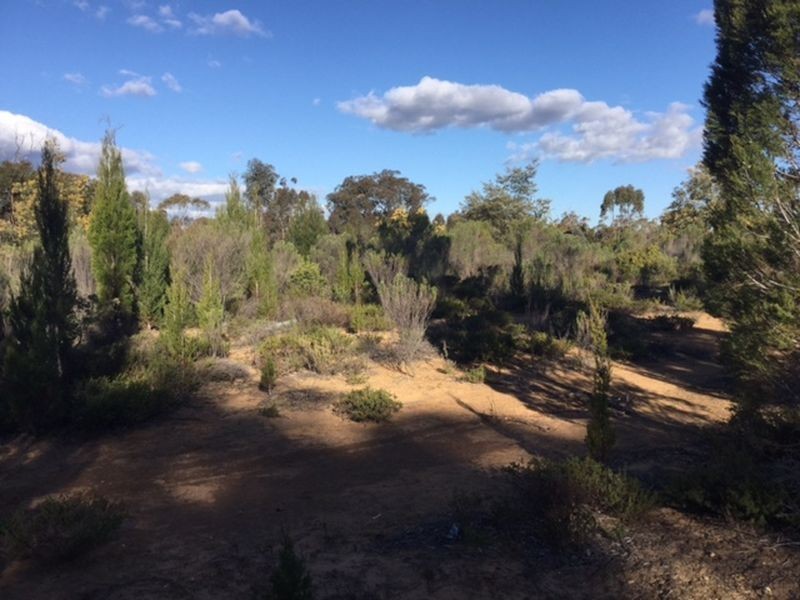 1162 Major West Road, Bumbaldry NSW 2794