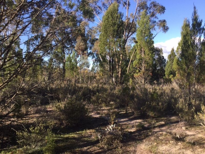 1162 Major West Road, Bumbaldry NSW 2794