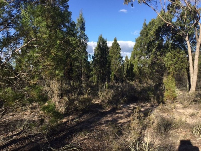 1162 Major West Road, Bumbaldry NSW 2794