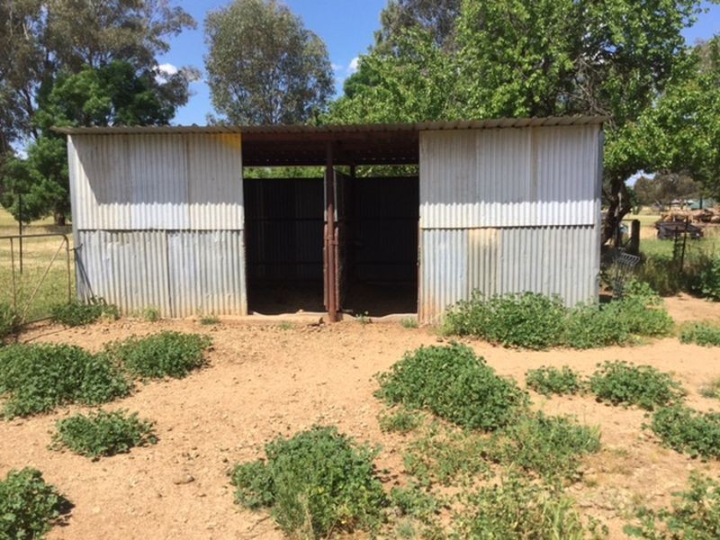 94 Rodd Street, Canowindra NSW 2804