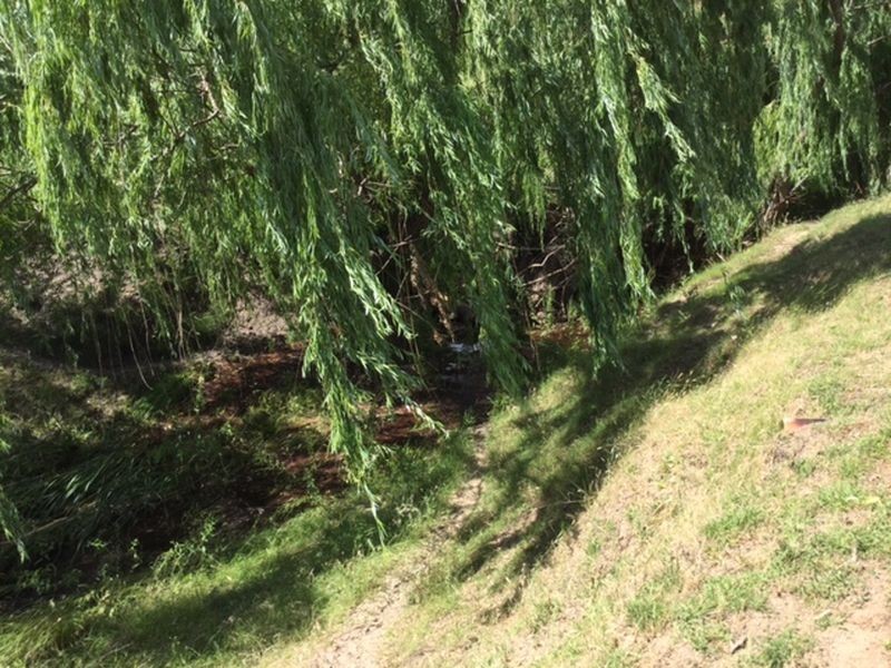 14-16 Main Street (Darby’s Falls), Cowra NSW 2794