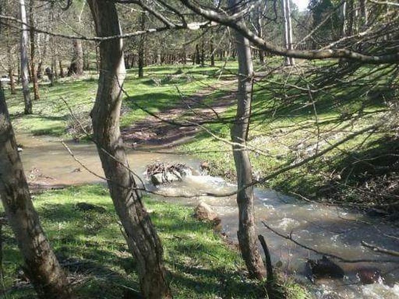 1030 Barryrenie Road, Cowra NSW 2794