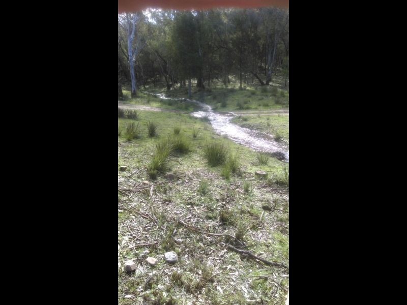 1030 Barryrenie Road, Cowra NSW 2794