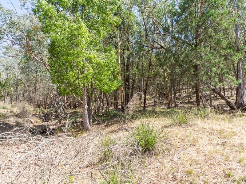 1030 Barryrenie Road, Cowra NSW 2794